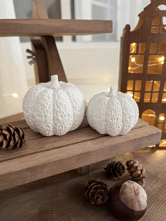 Déco - DUO CITROUILLES