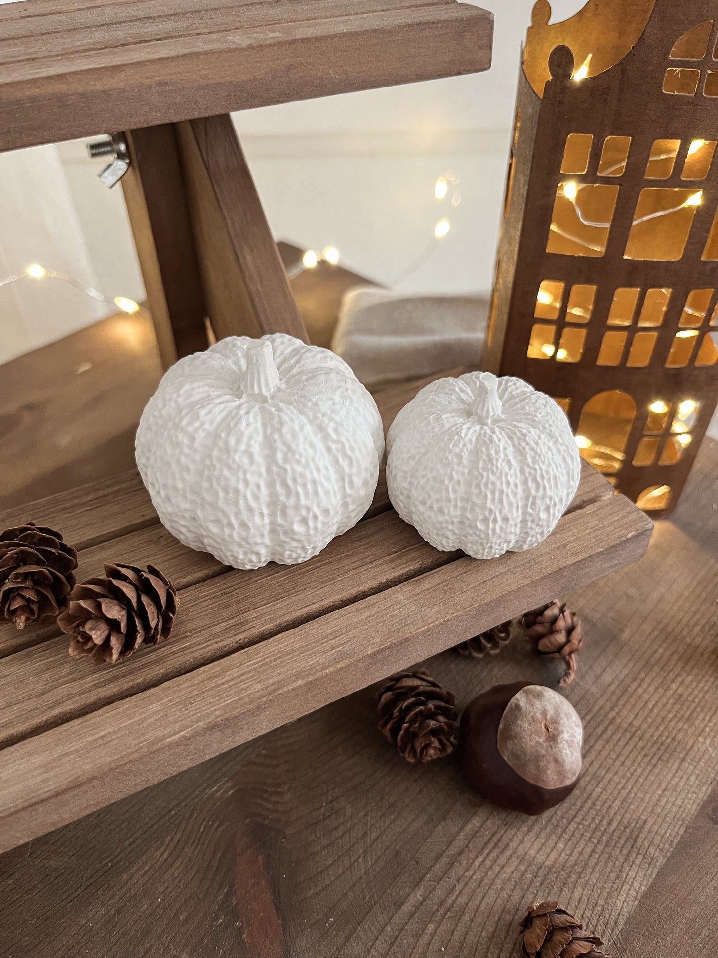 Déco - DUO CITROUILLES